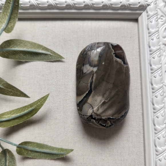 Volcano agate palm stone - crystals gemstone rock - Picture 3 of 6